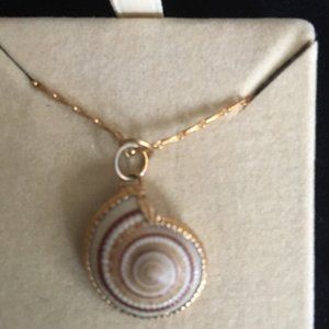 Sea Shell Gold Plated Necklace